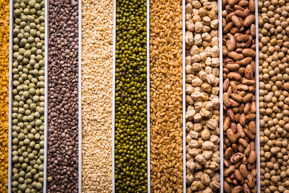 Indian Beans,Pulses,Lentils,Rice and Wheat grain in a white box with cells or strips, selective focus.