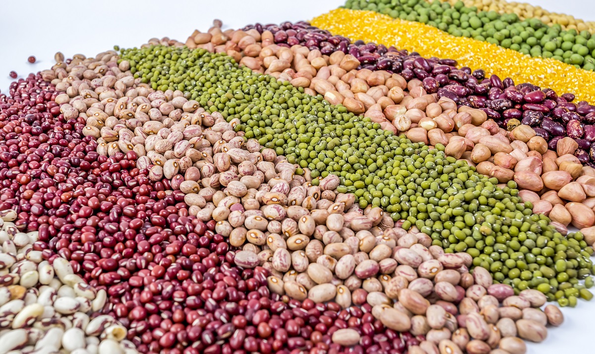 Autumn harvest of grain grain, full screen of whole grains