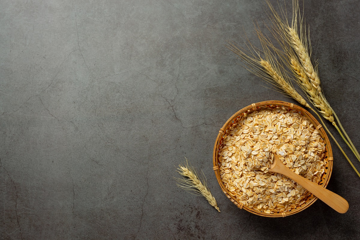 raw barley grain in old dark background